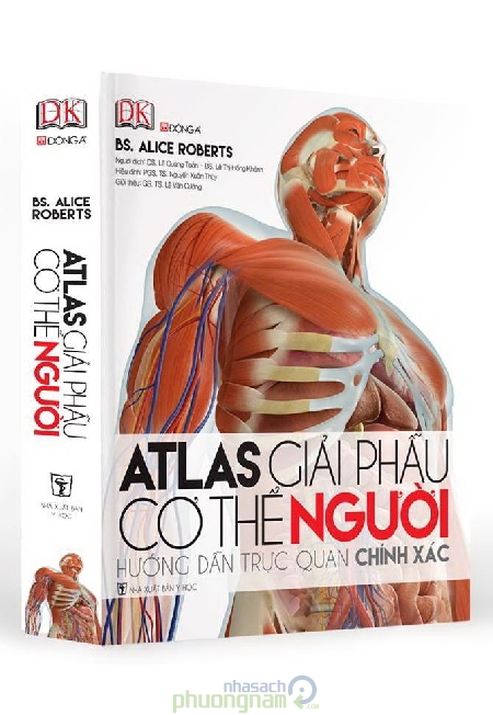 giai phau nguoi clipart